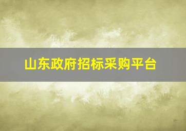 山东政府招标采购平台