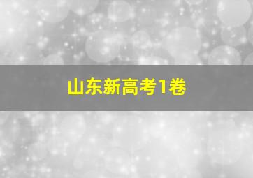 山东新高考1卷