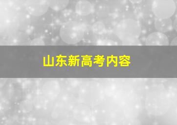 山东新高考内容