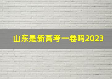 山东是新高考一卷吗2023