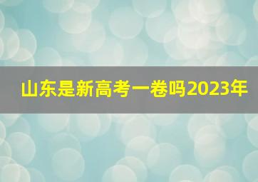 山东是新高考一卷吗2023年