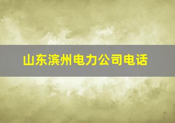 山东滨州电力公司电话