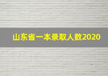 山东省一本录取人数2020