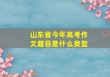 山东省今年高考作文题目是什么类型