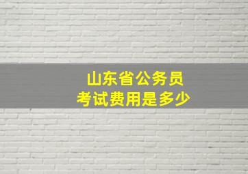 山东省公务员考试费用是多少