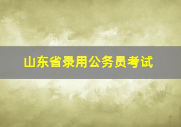 山东省录用公务员考试