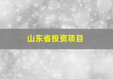 山东省投资项目