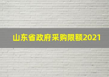 山东省政府采购限额2021