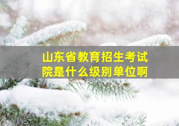 山东省教育招生考试院是什么级别单位啊