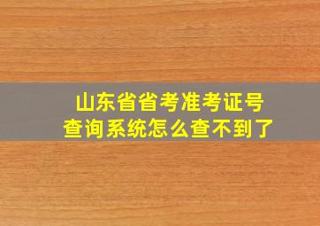 山东省省考准考证号查询系统怎么查不到了