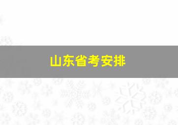 山东省考安排