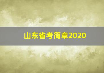 山东省考简章2020