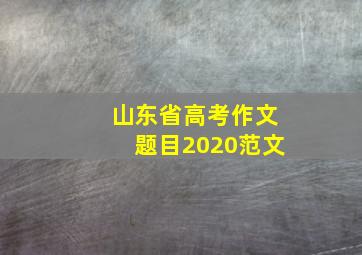 山东省高考作文题目2020范文