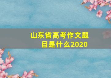 山东省高考作文题目是什么2020