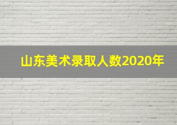 山东美术录取人数2020年