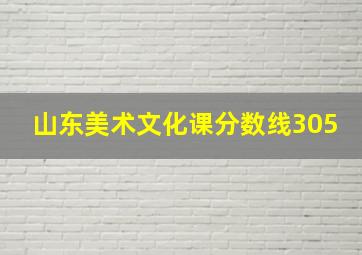 山东美术文化课分数线305