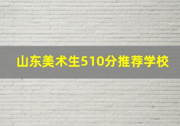 山东美术生510分推荐学校