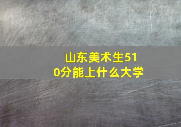 山东美术生510分能上什么大学