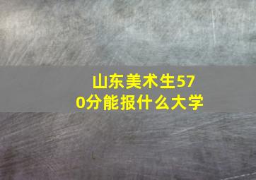 山东美术生570分能报什么大学