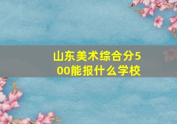 山东美术综合分500能报什么学校