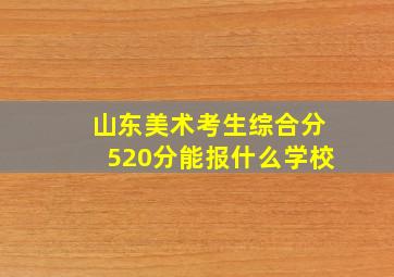 山东美术考生综合分520分能报什么学校