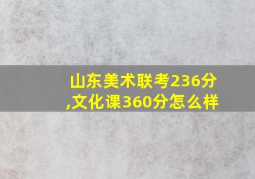 山东美术联考236分,文化课360分怎么样