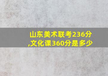 山东美术联考236分,文化课360分是多少