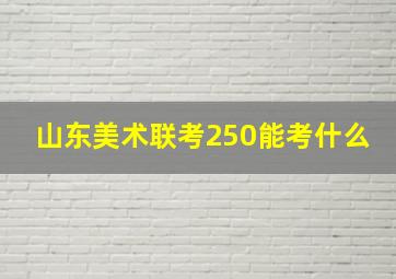 山东美术联考250能考什么