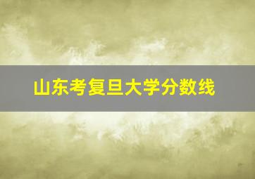 山东考复旦大学分数线