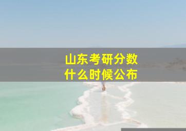 山东考研分数什么时候公布