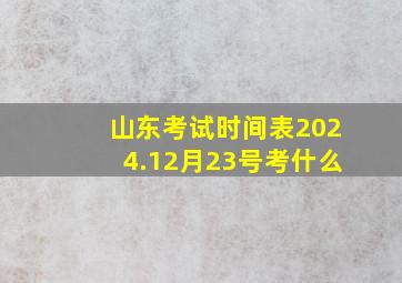 山东考试时间表2024.12月23号考什么