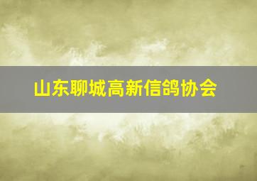 山东聊城高新信鸽协会