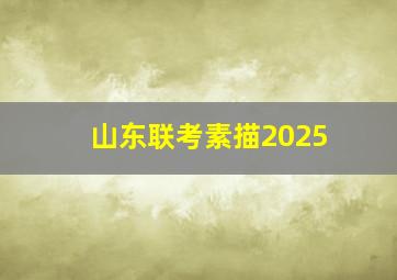 山东联考素描2025