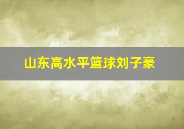 山东高水平篮球刘子豪