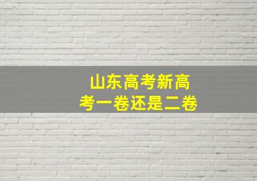 山东高考新高考一卷还是二卷