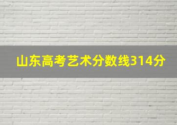 山东高考艺术分数线314分