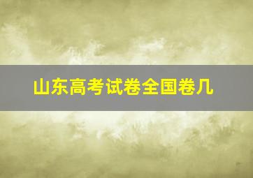 山东高考试卷全国卷几