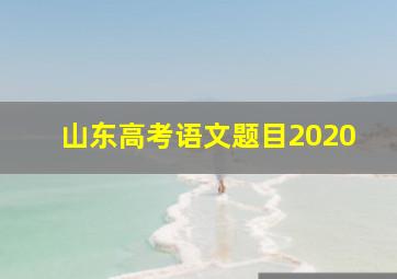 山东高考语文题目2020