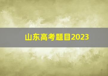 山东高考题目2023