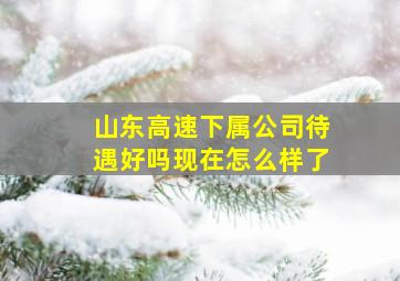 山东高速下属公司待遇好吗现在怎么样了