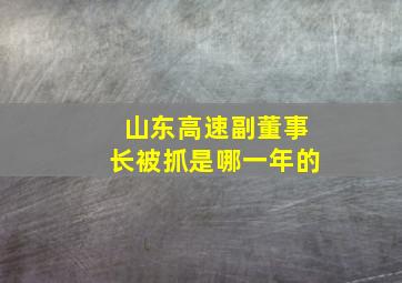 山东高速副董事长被抓是哪一年的