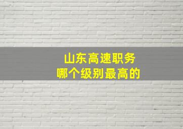 山东高速职务哪个级别最高的