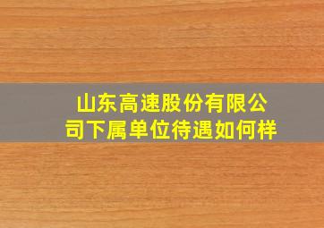 山东高速股份有限公司下属单位待遇如何样