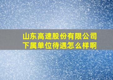 山东高速股份有限公司下属单位待遇怎么样啊