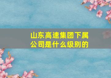 山东高速集团下属公司是什么级别的