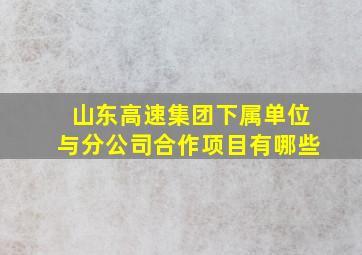 山东高速集团下属单位与分公司合作项目有哪些