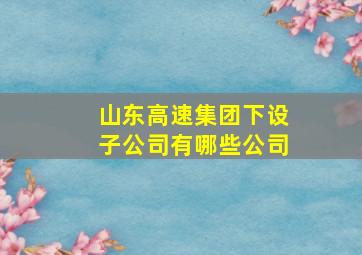 山东高速集团下设子公司有哪些公司