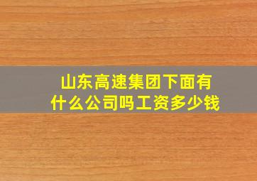 山东高速集团下面有什么公司吗工资多少钱