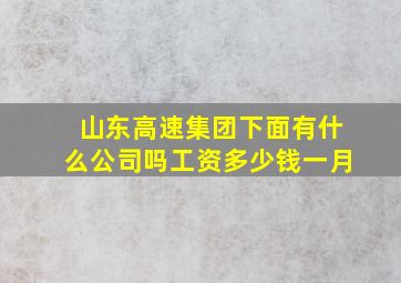 山东高速集团下面有什么公司吗工资多少钱一月