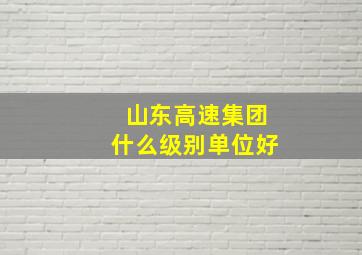 山东高速集团什么级别单位好